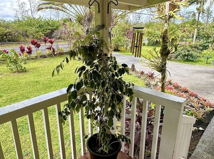 مبيت وإفطار Big Island Getaway