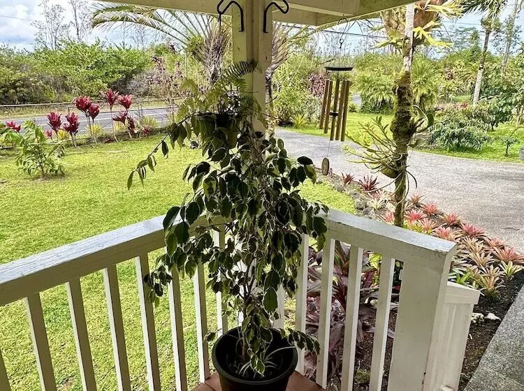 Aamiaismajoitus (B&B) Big Island Getaway