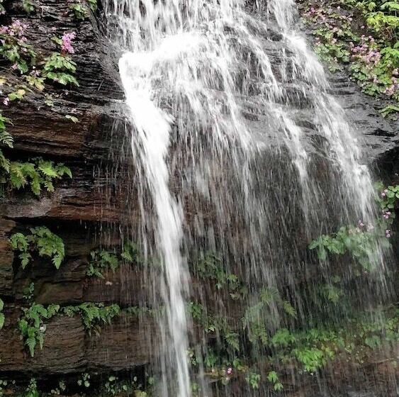 Hotel The Greenwood Resort Chikmagalur   Escape To Tranquil Mountain Views