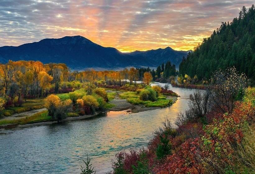 Otel Snake River Roadhouse #2 Brook Trout