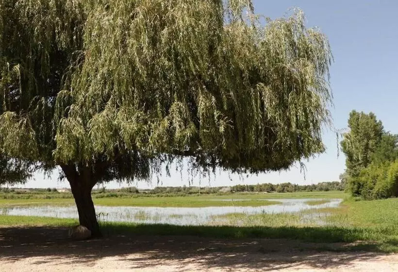 Majatalo Mas Du Versadou