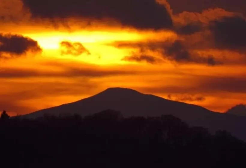 Majatalo Unique Off Grid Tree House Stay In Oak Woodland