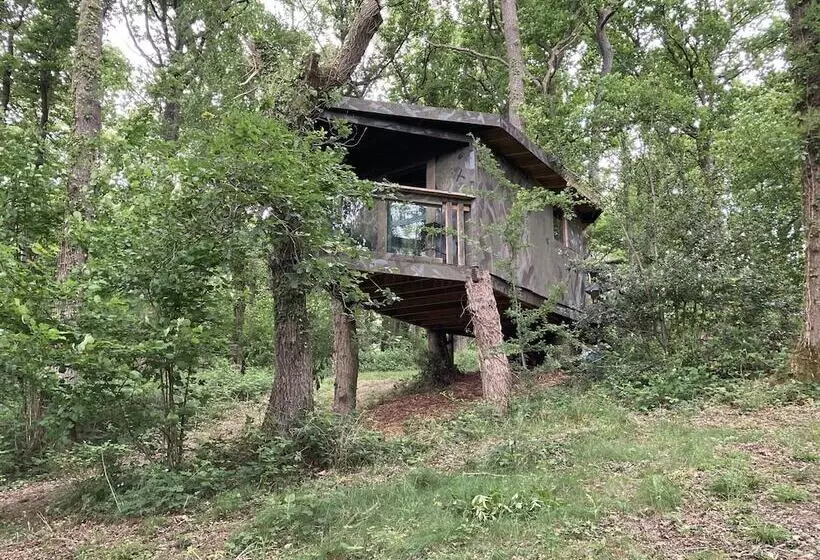Majatalo Unique Off Grid Tree House Stay In Oak Woodland