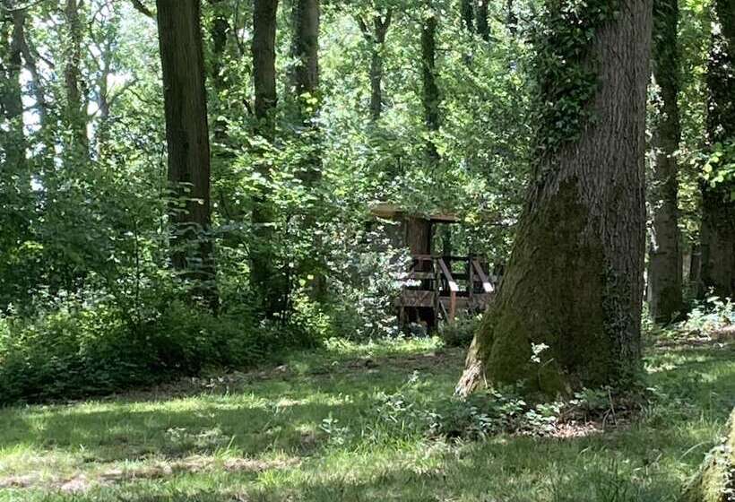 Pensió Unique Off Grid Tree House Stay In Oak Woodland