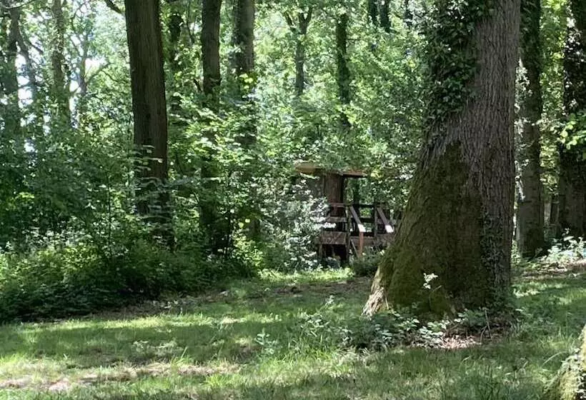 Majatalo Unique Off Grid Tree House Stay In Oak Woodland