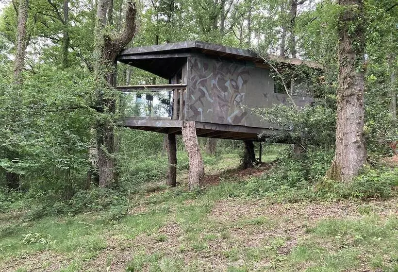 Majatalo Unique Off Grid Tree House Stay In Oak Woodland