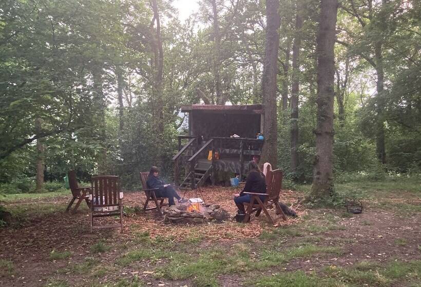 بنسيون Unique Off Grid Tree House Stay In Oak Woodland