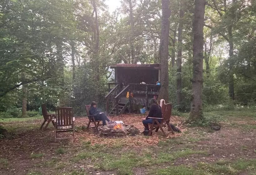 Majatalo Unique Off Grid Tree House Stay In Oak Woodland