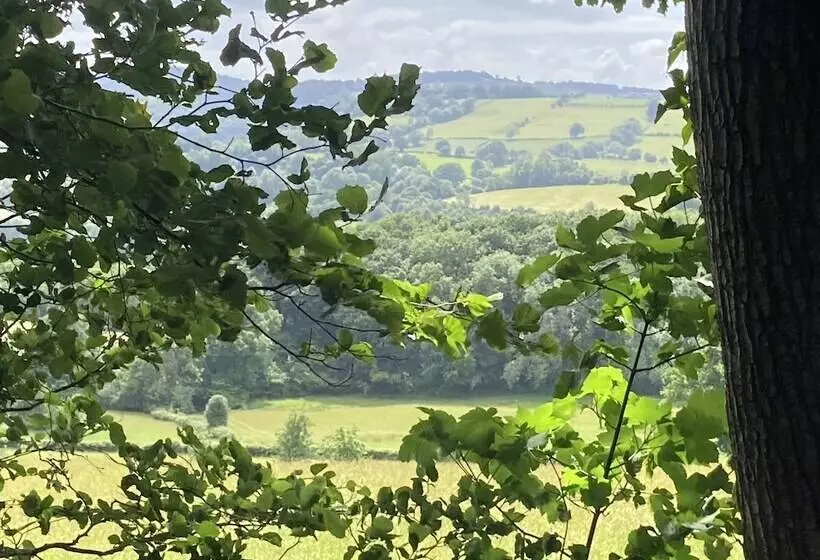 Majatalo Unique Off Grid Tree House Stay In Oak Woodland