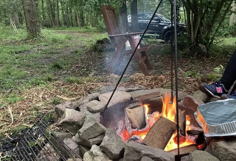 Majatalo Unique Off Grid Tree House Stay In Oak Woodland