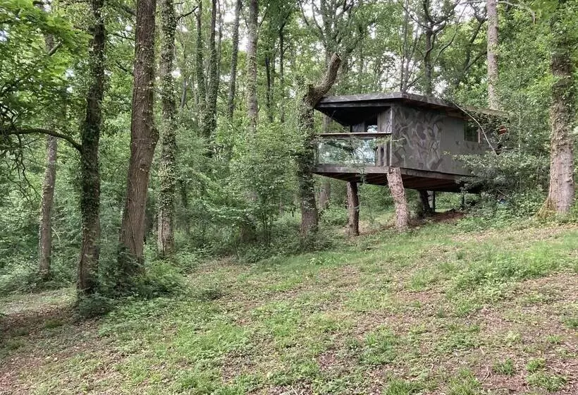 Majatalo Unique Off Grid Tree House Stay In Oak Woodland