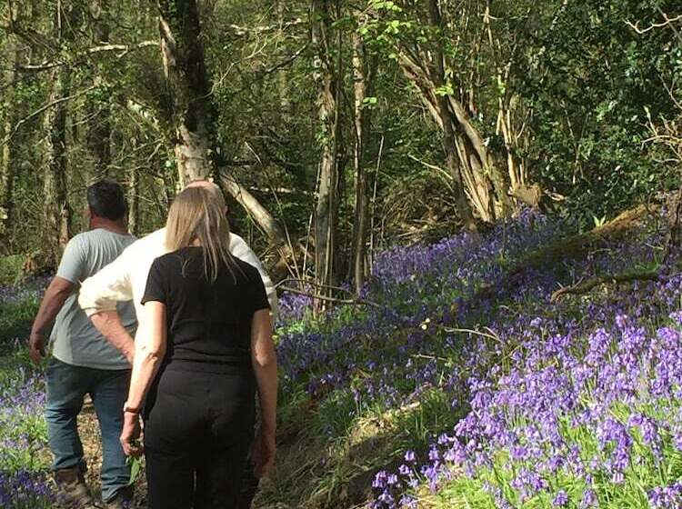 بنسيون Unique Off Grid Tree House Stay In Oak Woodland