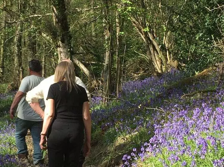 Majatalo Unique Off Grid Tree House Stay In Oak Woodland