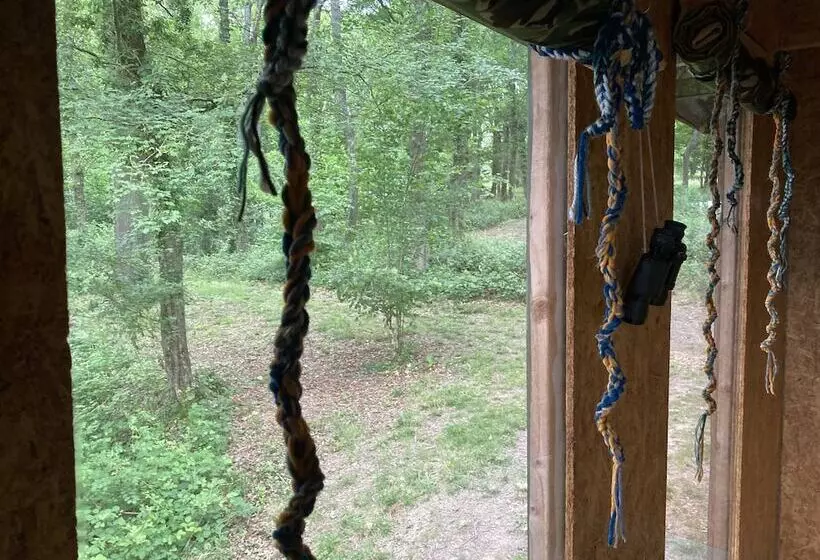 Majatalo Unique Off Grid Tree House Stay In Oak Woodland