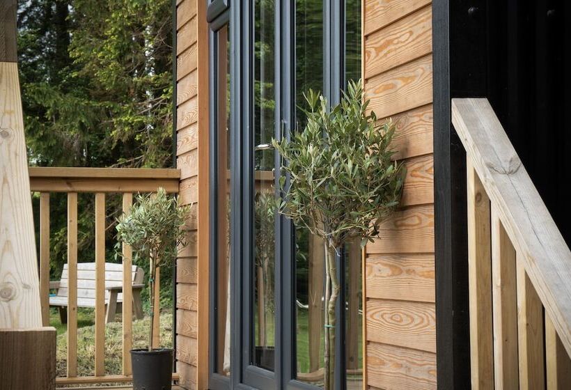 Cabin In The Woods   1 Bed   Kilgetty