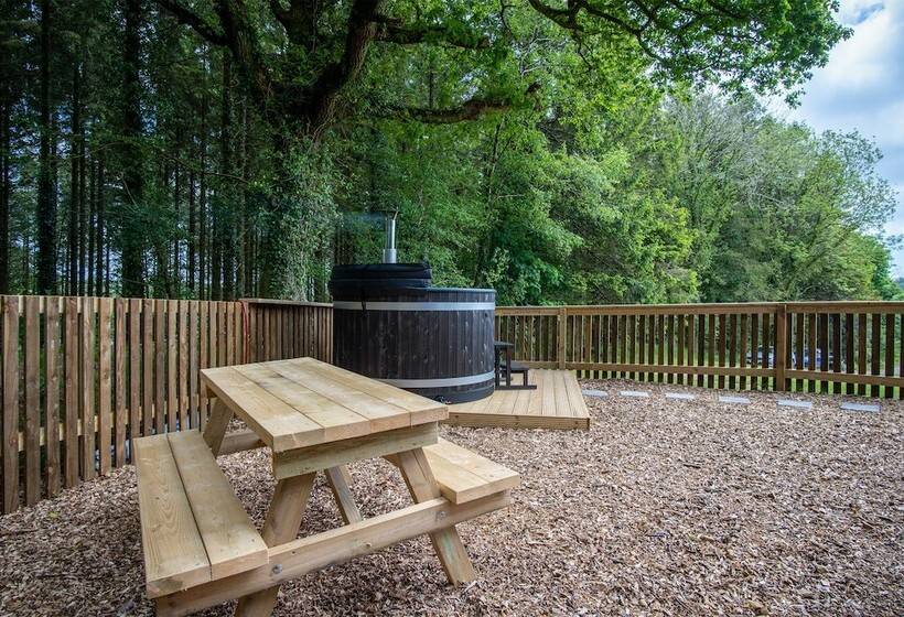 Cabin In The Woods   1 Bed   Kilgetty