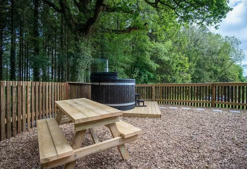 Cabin In The Woods   1 Bed   Kilgetty