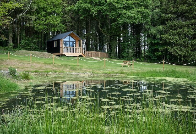 Cabin In The Woods   1 Bed   Kilgetty