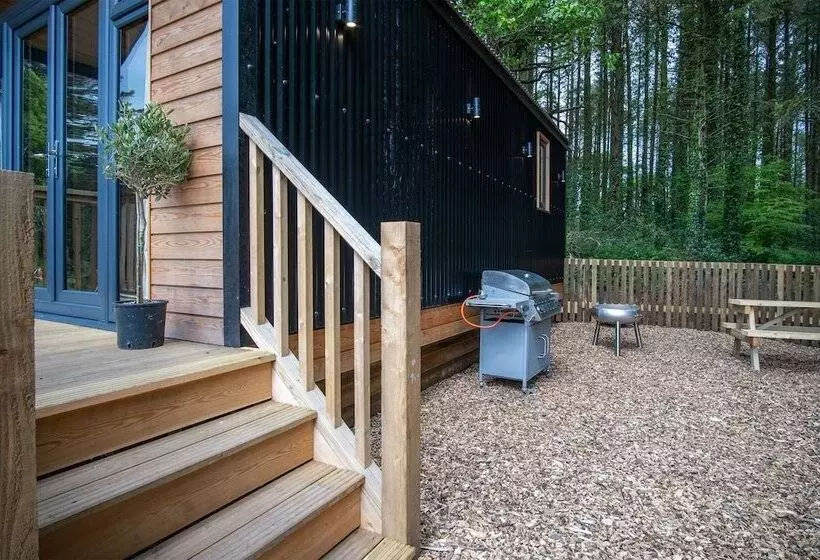 Cabin In The Woods   1 Bed   Kilgetty