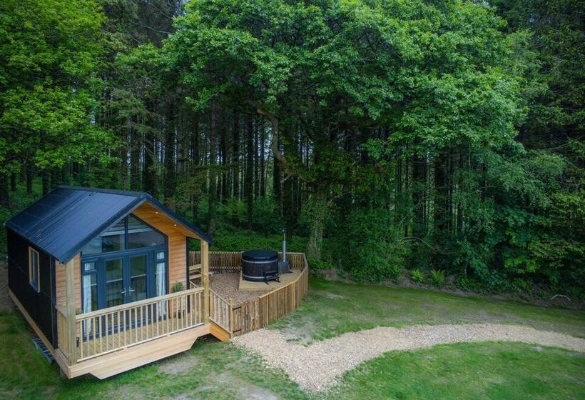 Cabin In The Woods   1 Bed   Kilgetty