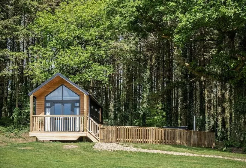 Cabin In The Woods   1 Bed   Kilgetty