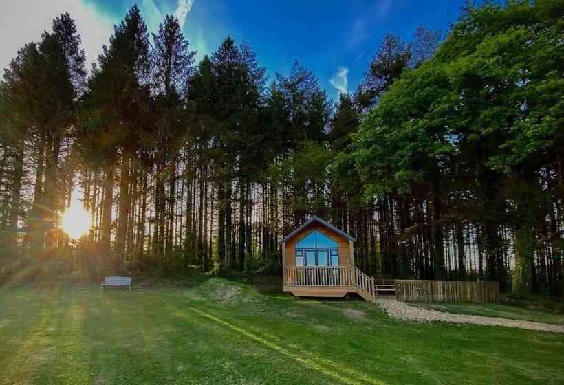 Cabin In The Woods   1 Bed   Kilgetty