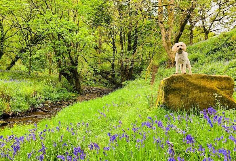 Cosy Pod Cabin Near Beautiful Landscape In Omagh