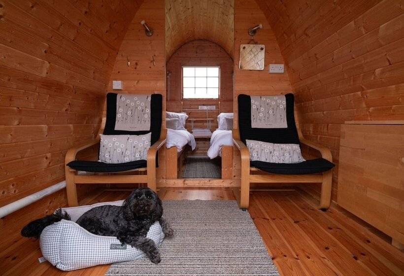 Cosy Pod Cabin Near Beautiful Landscape In Omagh