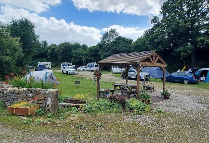 Cosy Pod Cabin Near Beautiful Landscape In Omagh