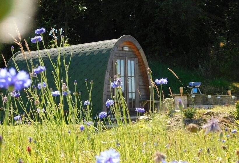 Cosy Pod Cabin Near Beautiful Landscape In Omagh