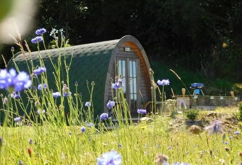 Cosy Pod Cabin Near Beautiful Landscape In Omagh