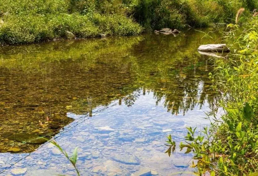 Gangchon Pine Hill Pension