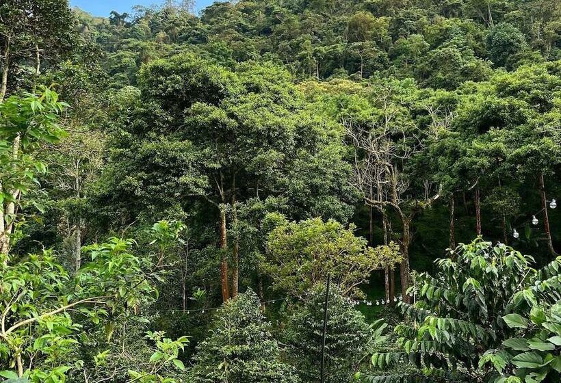 酒店 La Palma Y El Tucan   Coffee & Nature