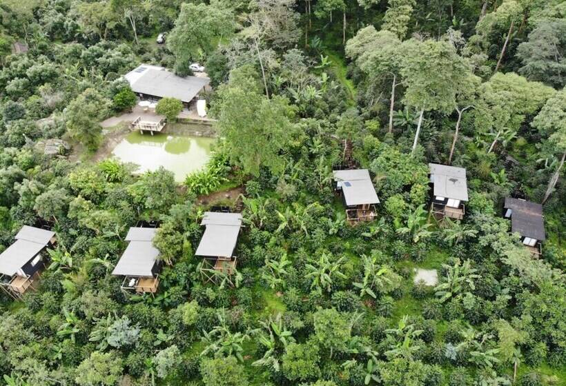 酒店 La Palma Y El Tucan   Coffee & Nature