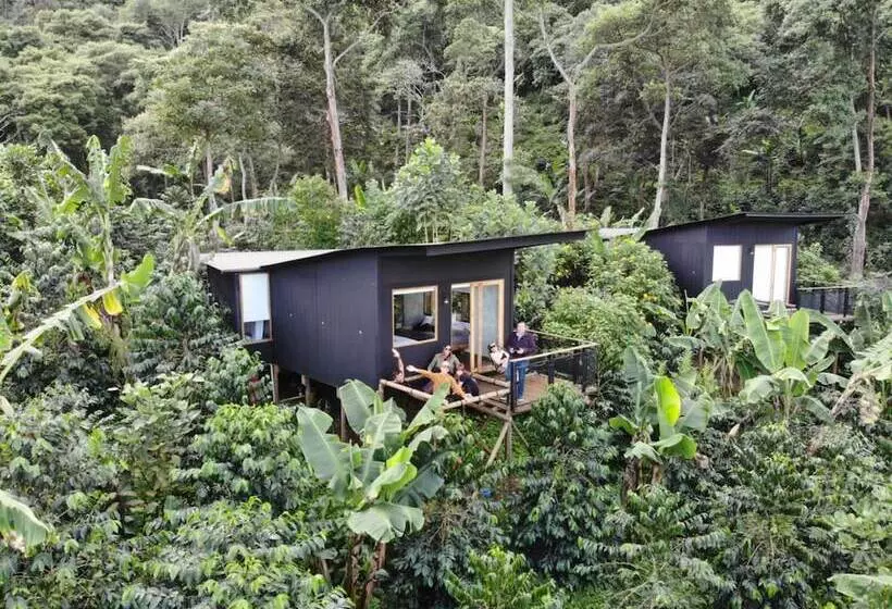 Hotelli La Palma Y El Tucan   Coffee & Nature