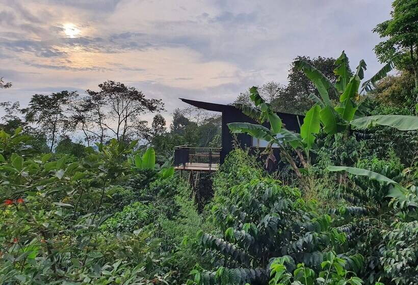 酒店 La Palma Y El Tucan   Coffee & Nature