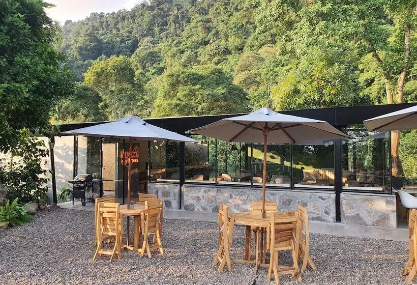 Hotelli La Palma Y El Tucan   Coffee & Nature