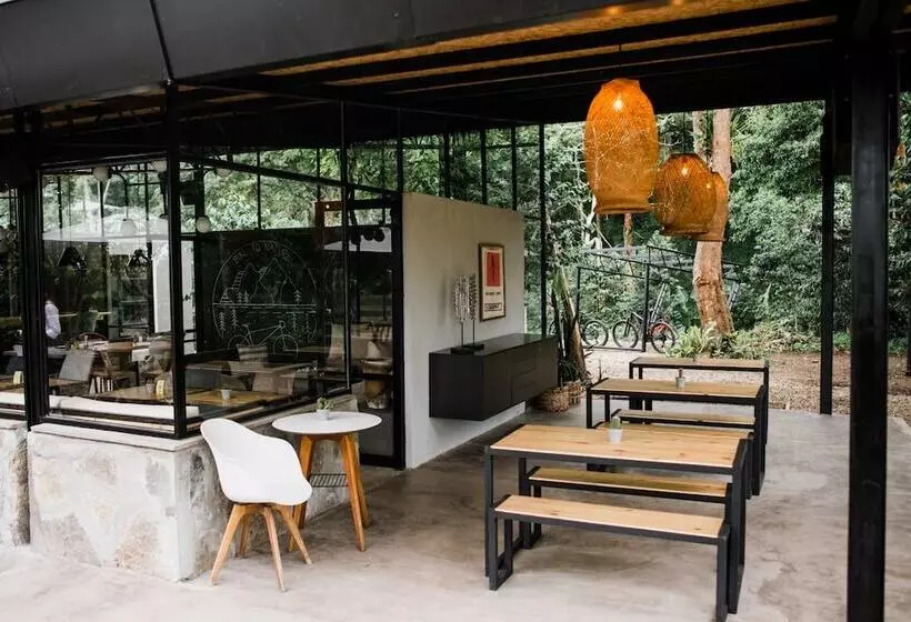 Hotelli La Palma Y El Tucan   Coffee & Nature