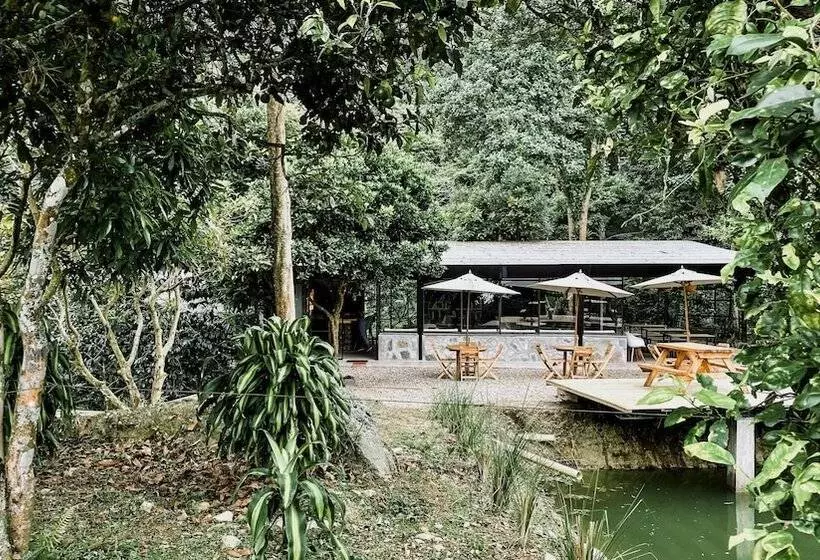 Hotelli La Palma Y El Tucan   Coffee & Nature