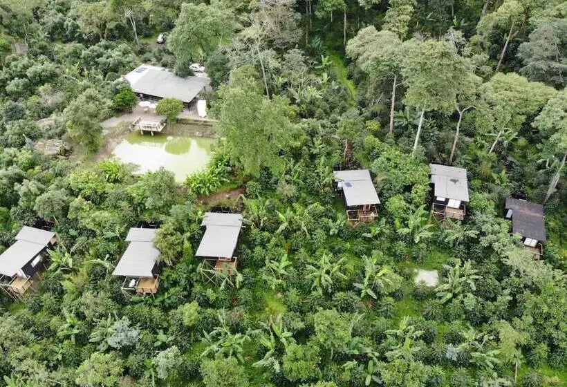 Hotelli La Palma Y El Tucan   Coffee & Nature