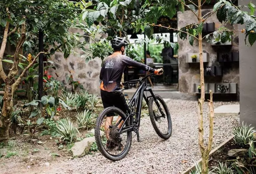 Hotelli La Palma Y El Tucan   Coffee & Nature