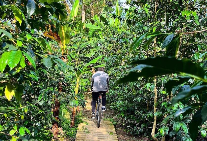 酒店 La Palma Y El Tucan   Coffee & Nature