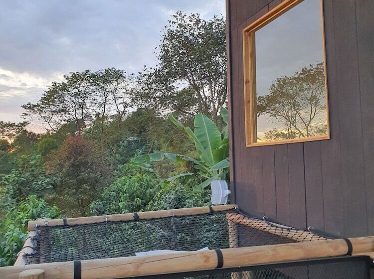 酒店 La Palma Y El Tucan   Coffee & Nature