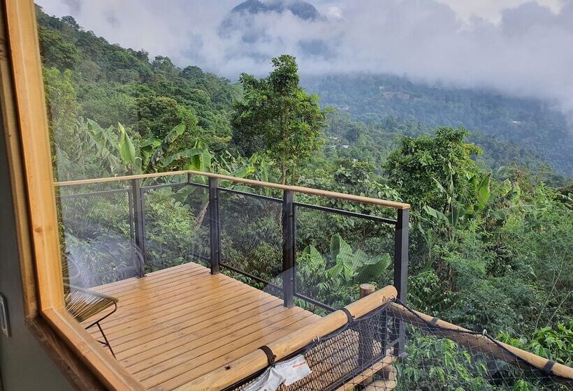 酒店 La Palma Y El Tucan   Coffee & Nature