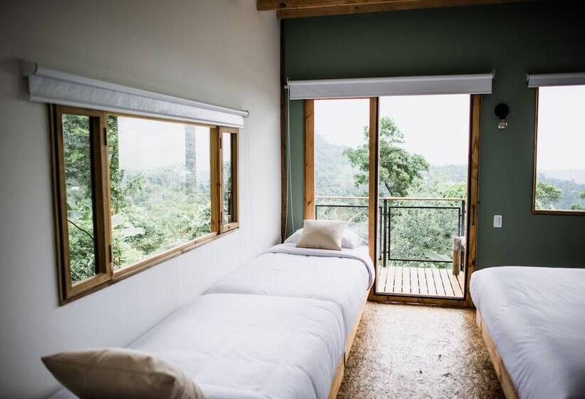 酒店 La Palma Y El Tucan   Coffee & Nature