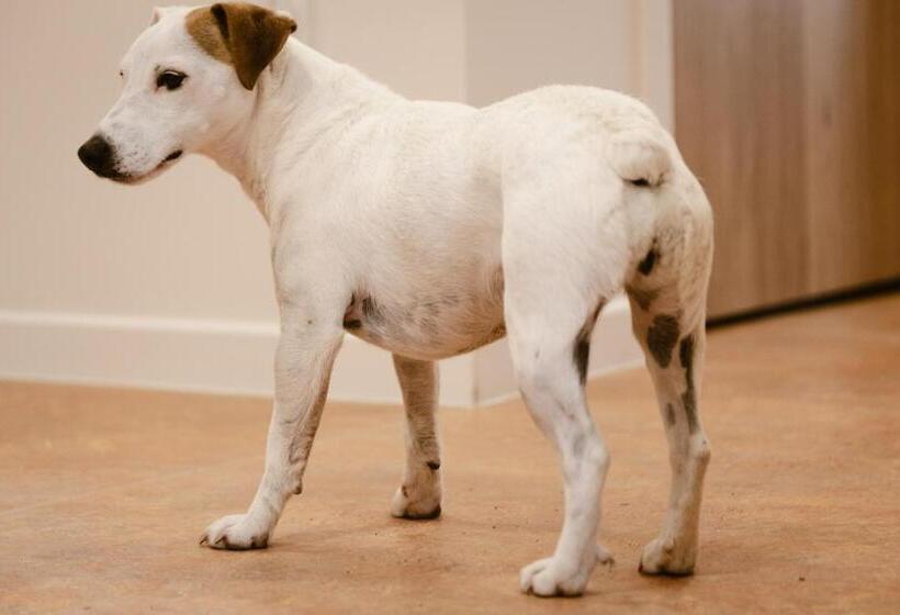 호텔 Logis Hôtel Restaurant L Argence