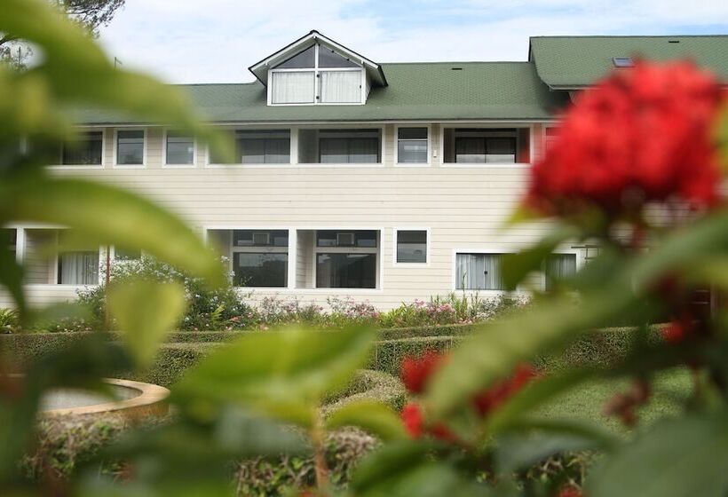 酒店 Pousada Golden Garden