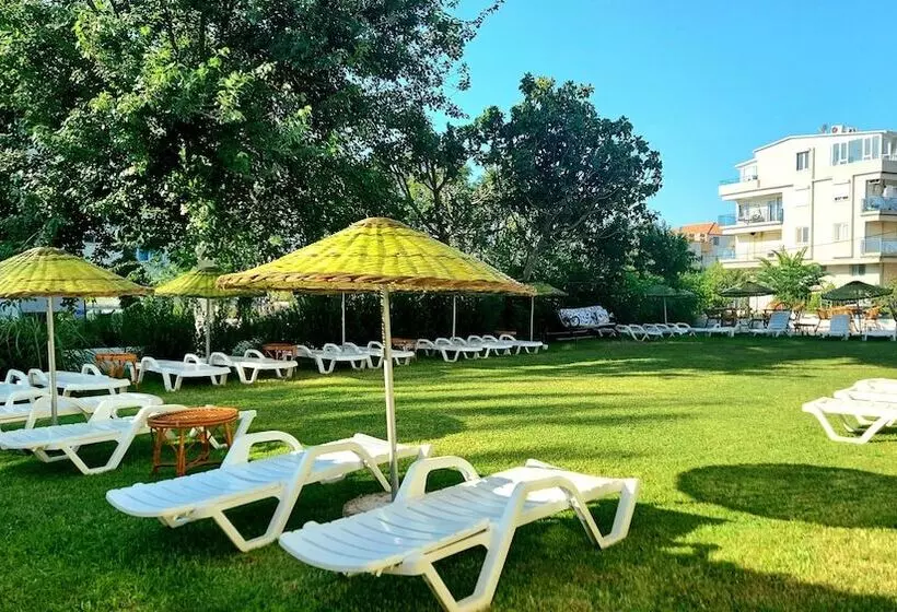 Orkide Otel