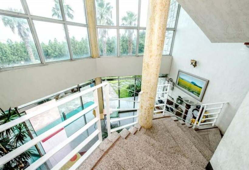 Seogwipo Jungmun Happy Sketch Pension