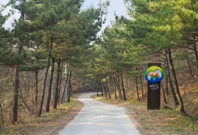 Taean Sea Aroma House Pension